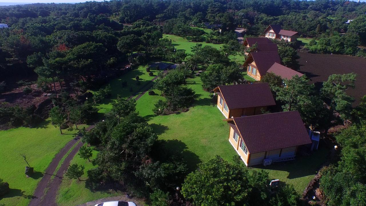 Jeju Bille Log Pension Seogwipo Extérieur photo
