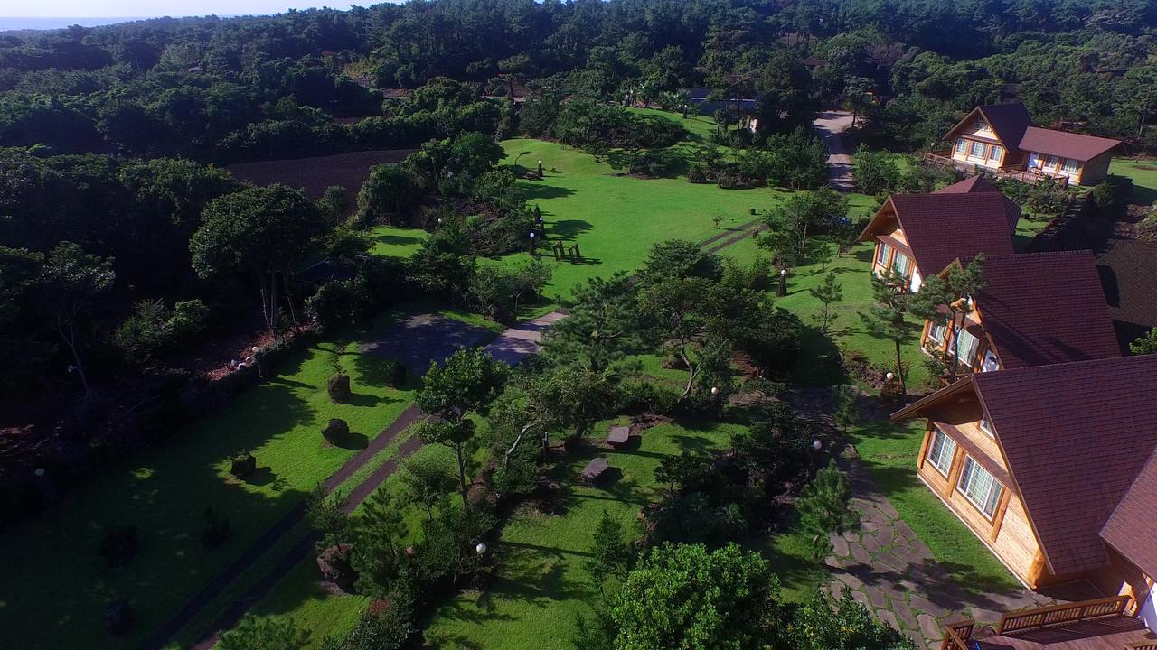 Jeju Bille Log Pension Seogwipo Extérieur photo