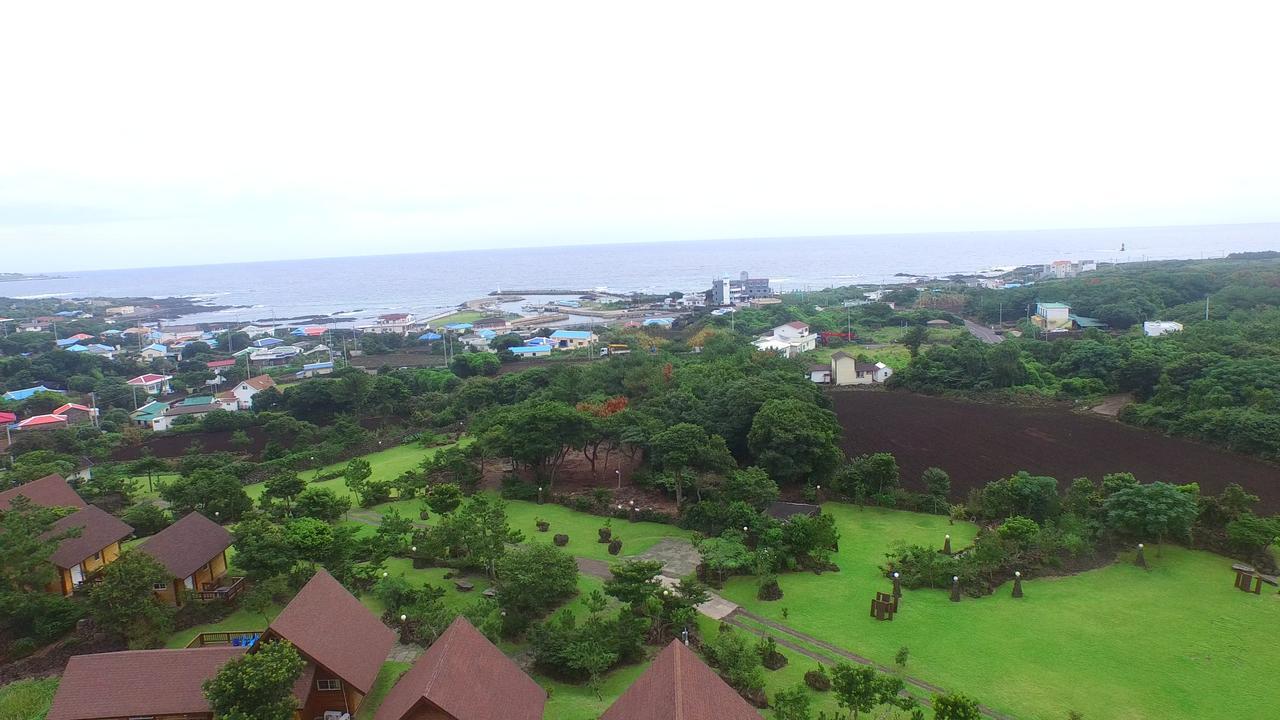 Jeju Bille Log Pension Seogwipo Extérieur photo